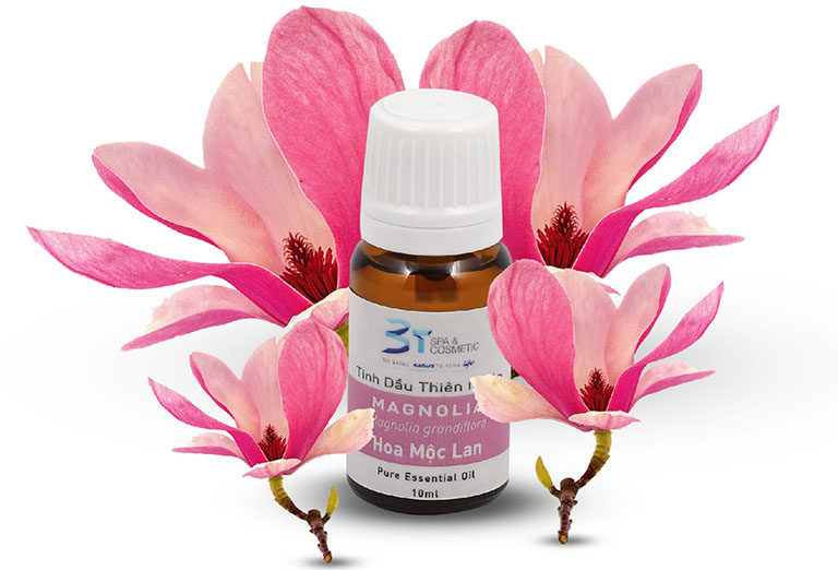 Công dụng của hoa mộc lan Ý nghĩa Hoa Mộc Lan | Biểu tượng của tài lộc, may mắn, quyền lực